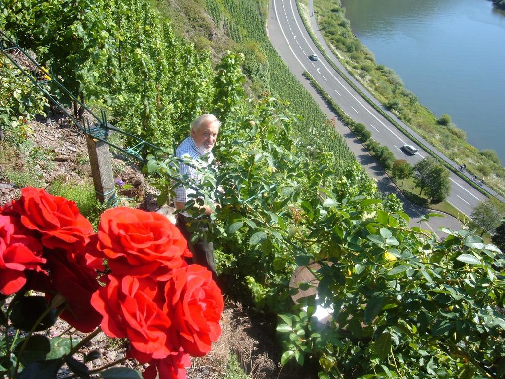 Kleines Winzerhauschen Βίλα Bremm Δωμάτιο φωτογραφία