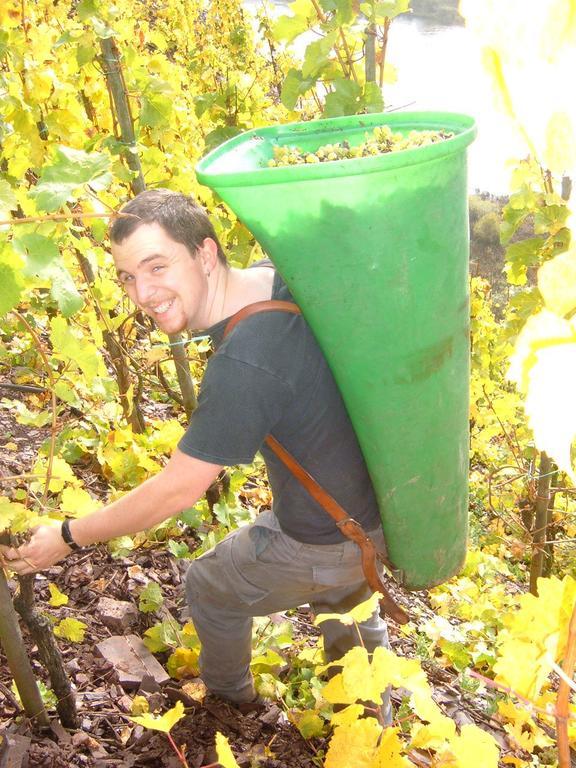 Kleines Winzerhauschen Βίλα Bremm Δωμάτιο φωτογραφία