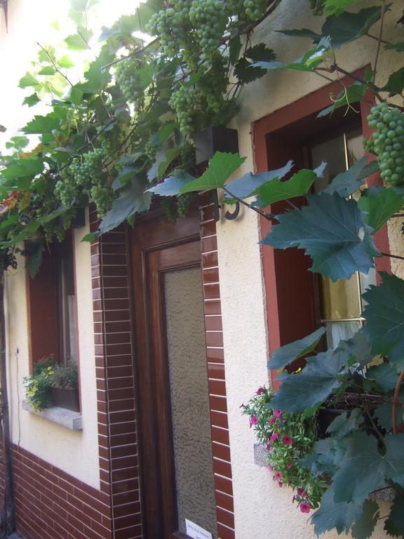 Kleines Winzerhauschen Βίλα Bremm Εξωτερικό φωτογραφία